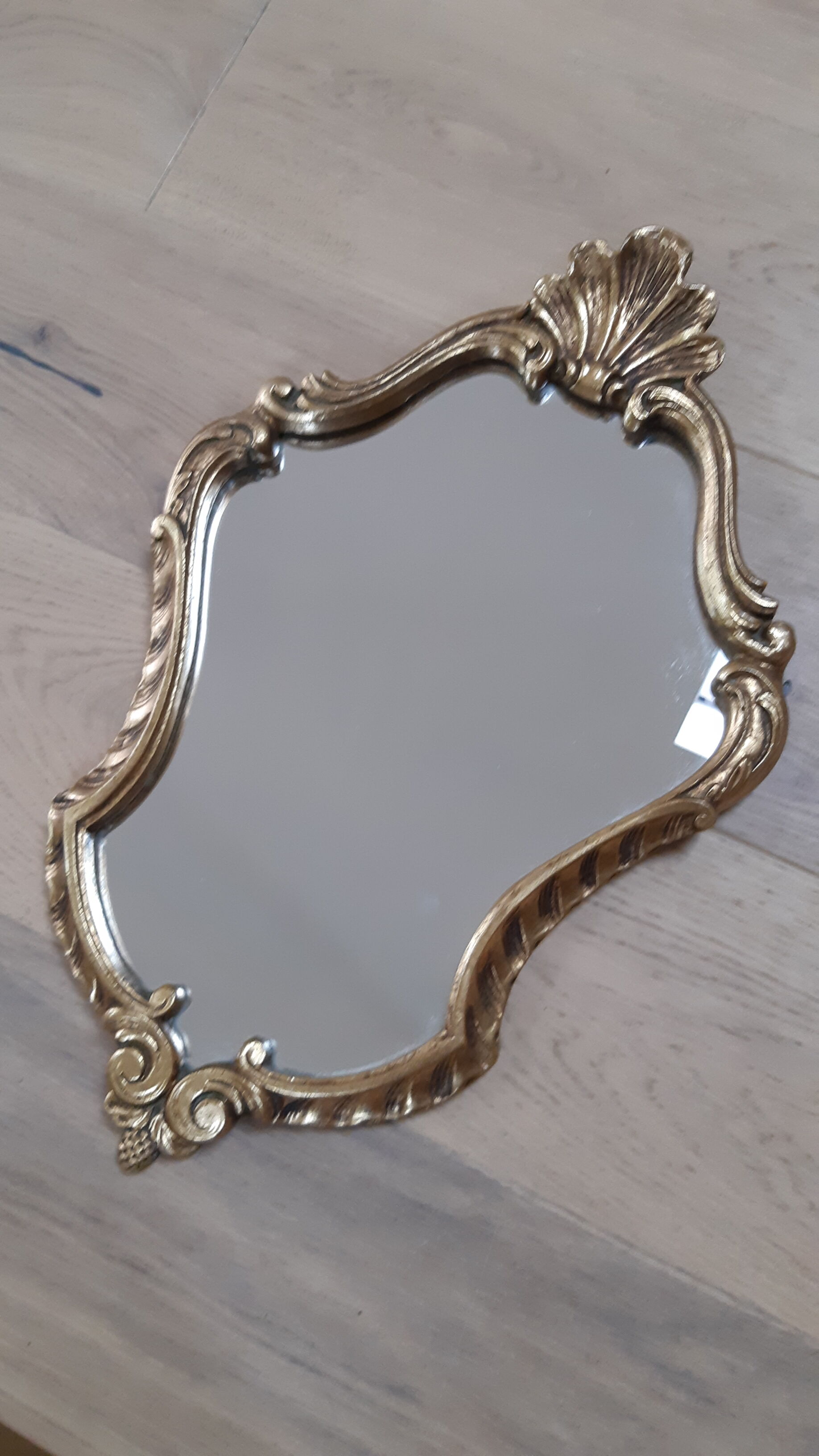 Golden mirror and his harness