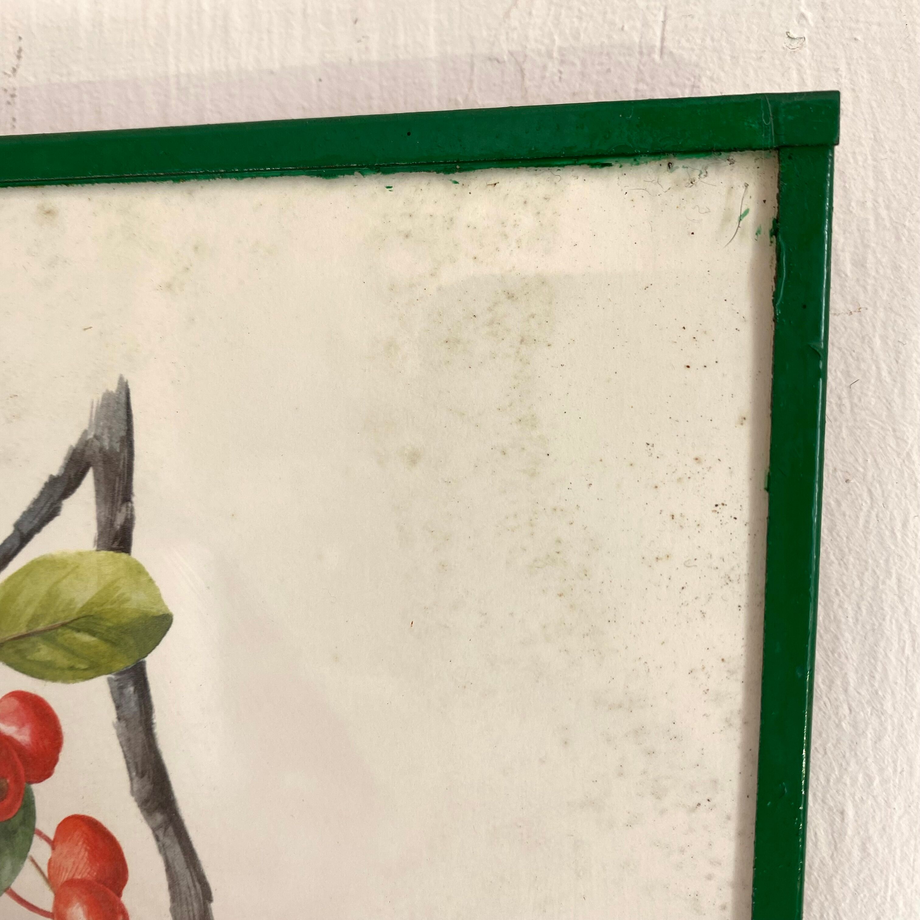 Antique engraving bird in metal frame