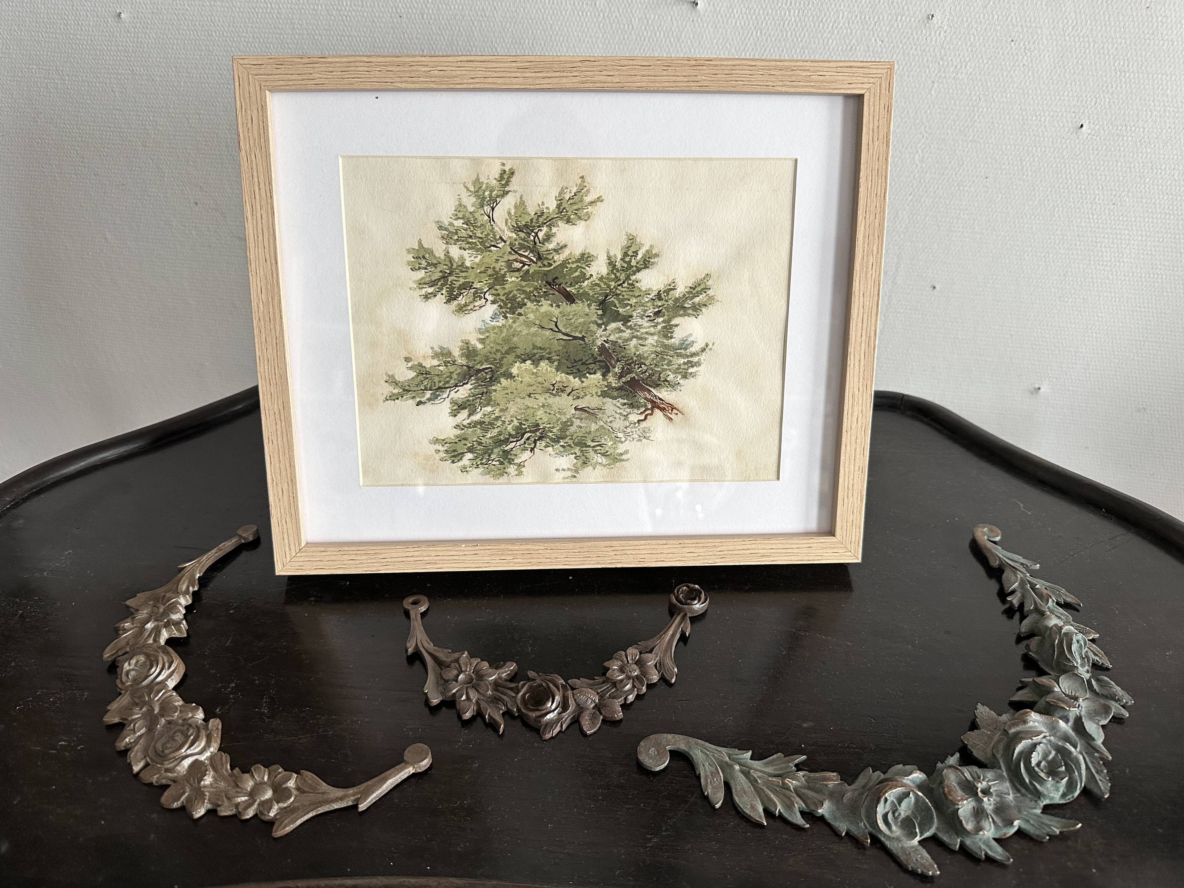 Old watercolour of a tree, botanical study signed, mid-20th century.