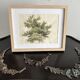 Old watercolour of a tree, botanical study signed, mid-20th century.