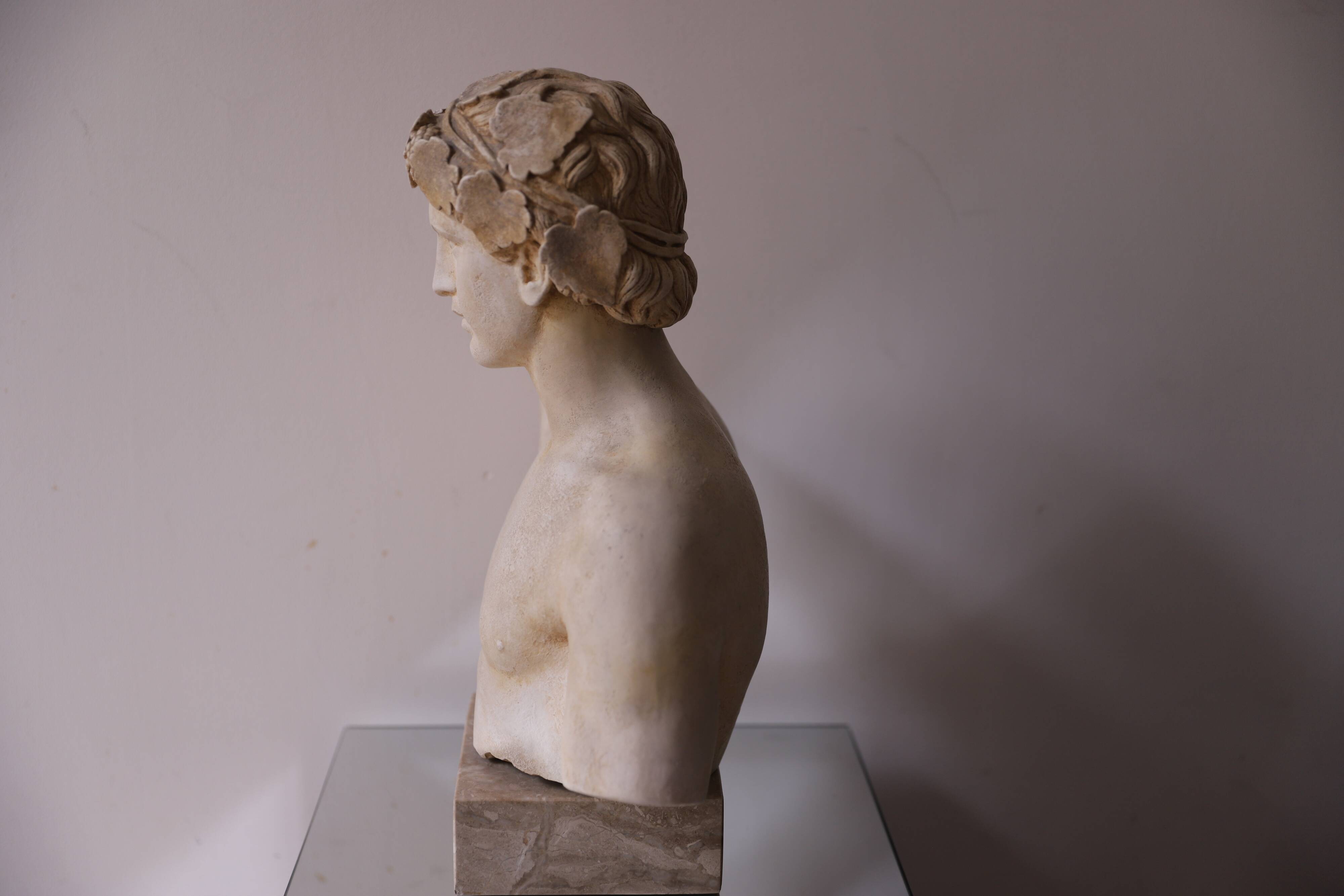 Plaster bust of Apollo