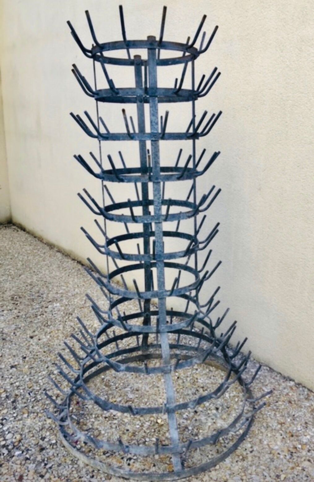 Bottle-borne hedgehog