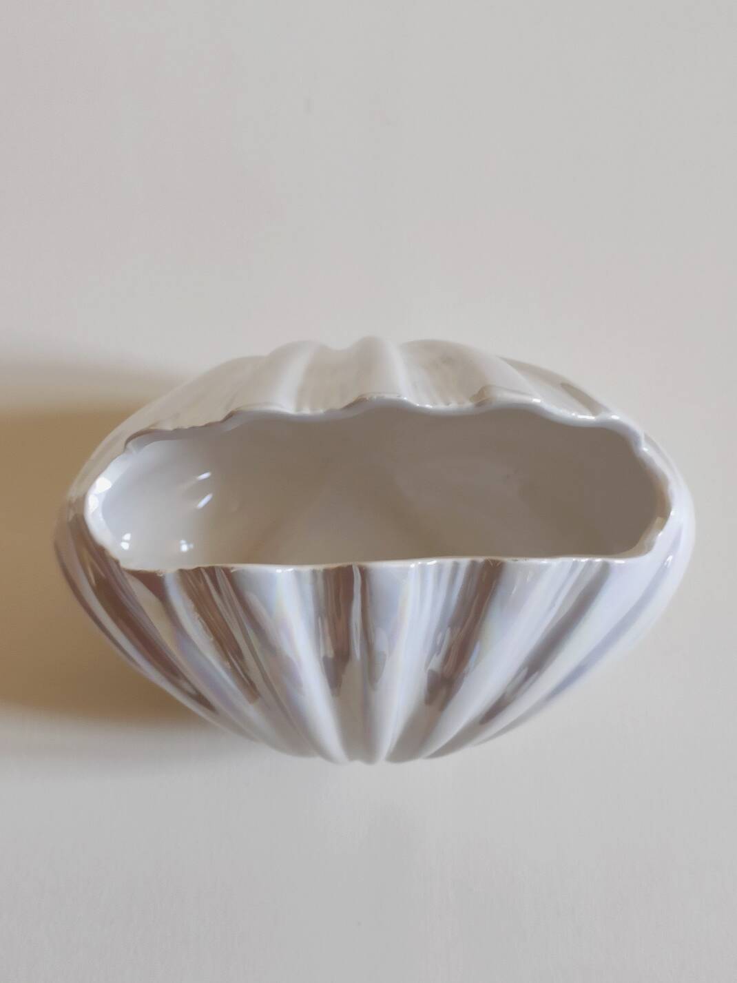 Scallop shell vase