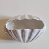 Scallop shell vase