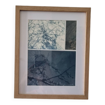 Wall-mounted collage cyanotype photograph.