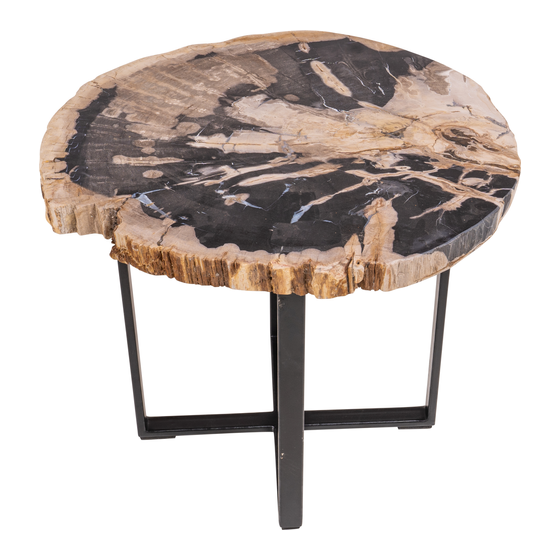 Table living room petrified wood