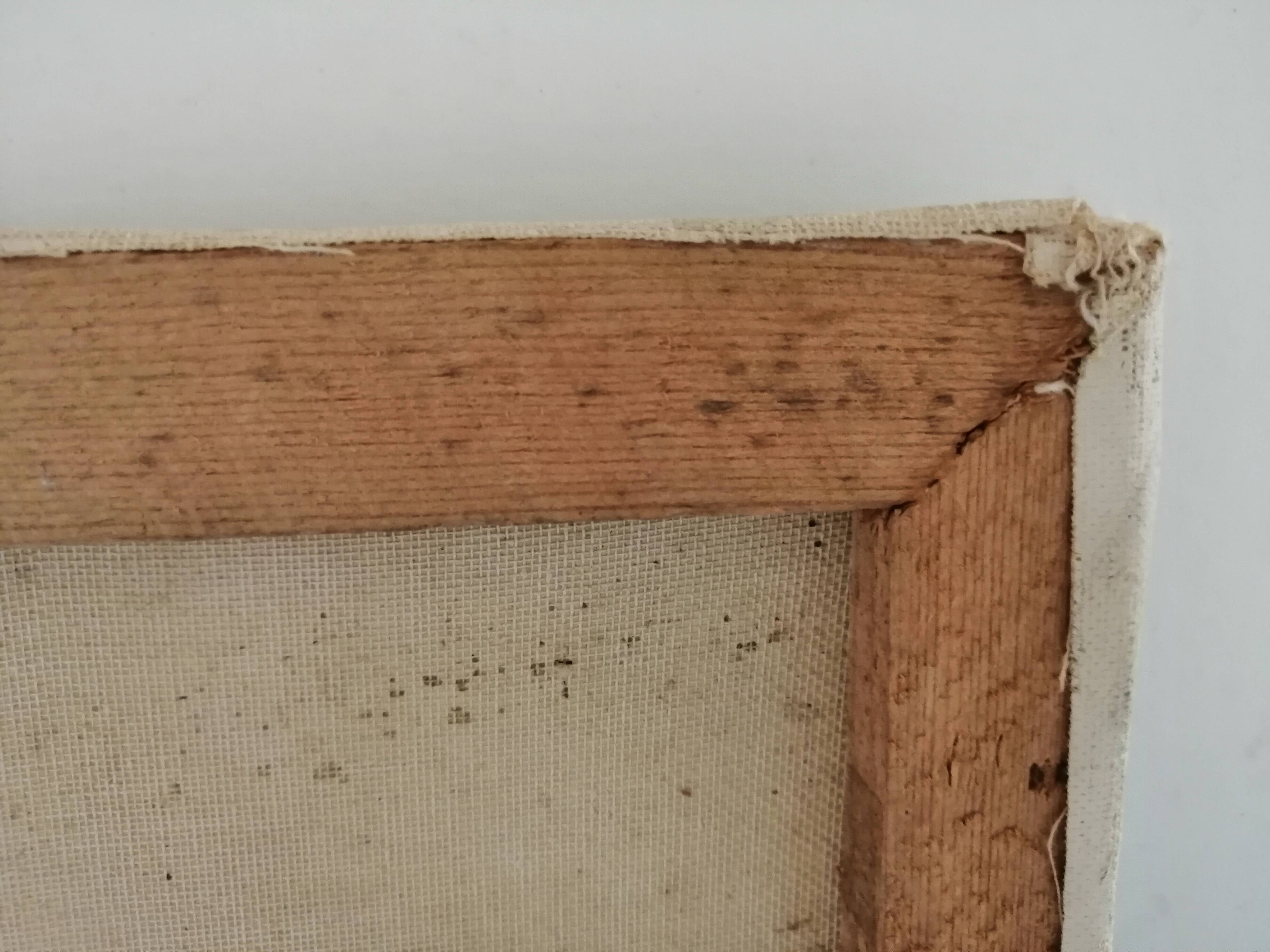 Still life with daisies and flowers in vase
