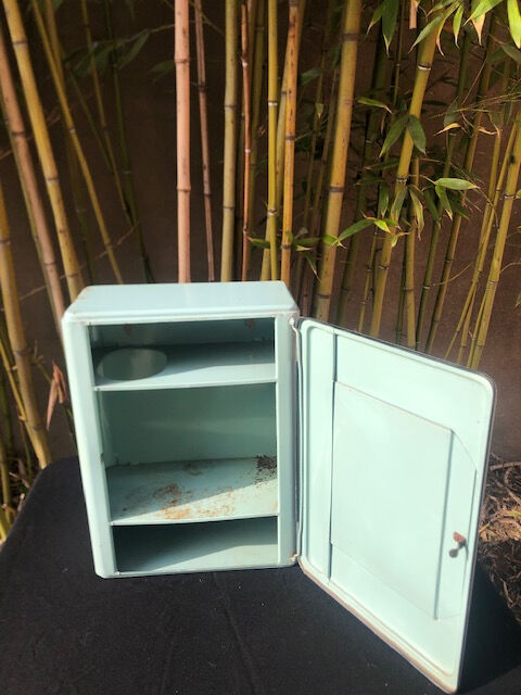 Industrial-style pharmacy wardrobe
