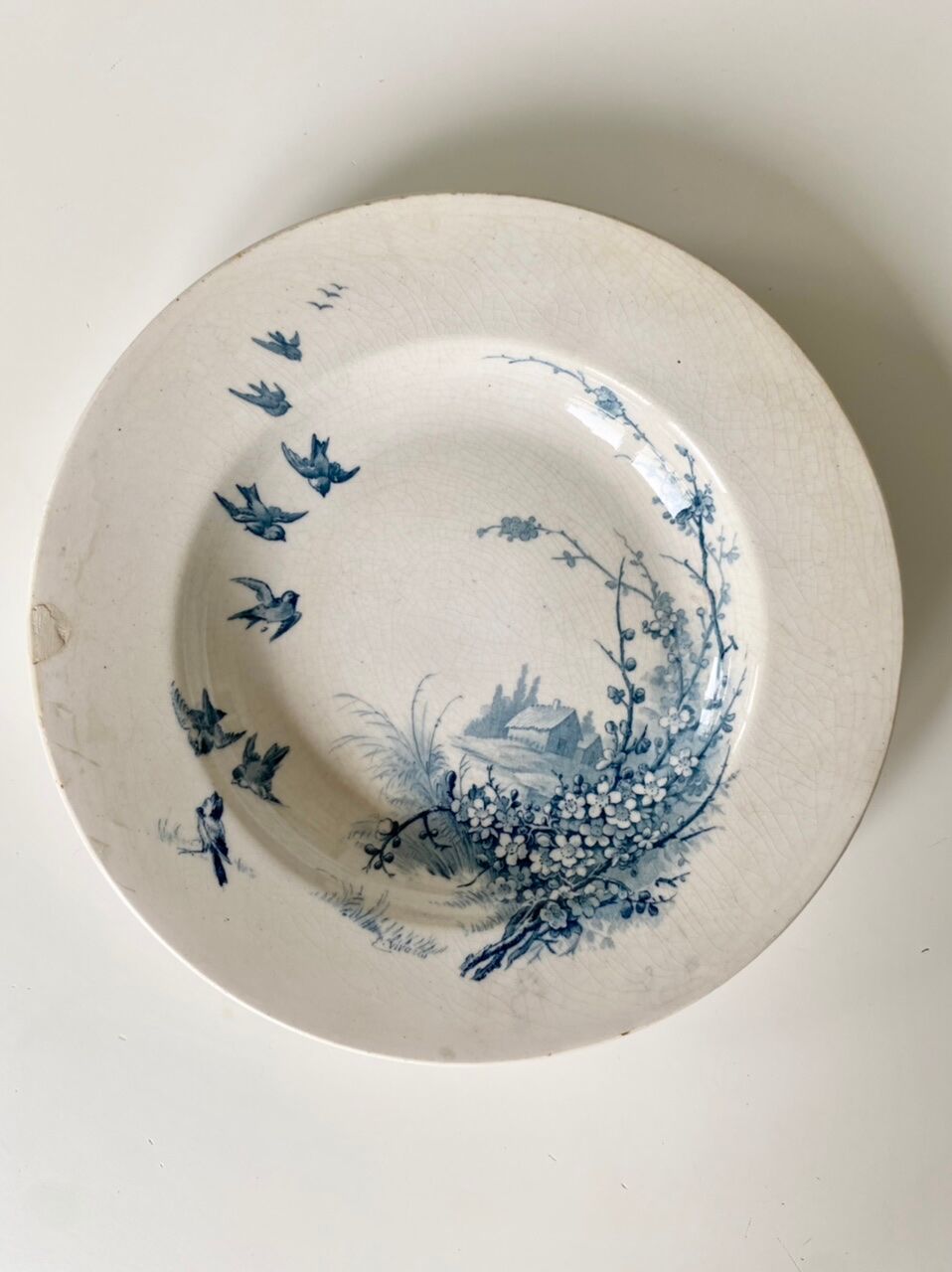 Plate Grand Dépôt E.Bourgeois