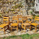 Set of 7 wooden chairs