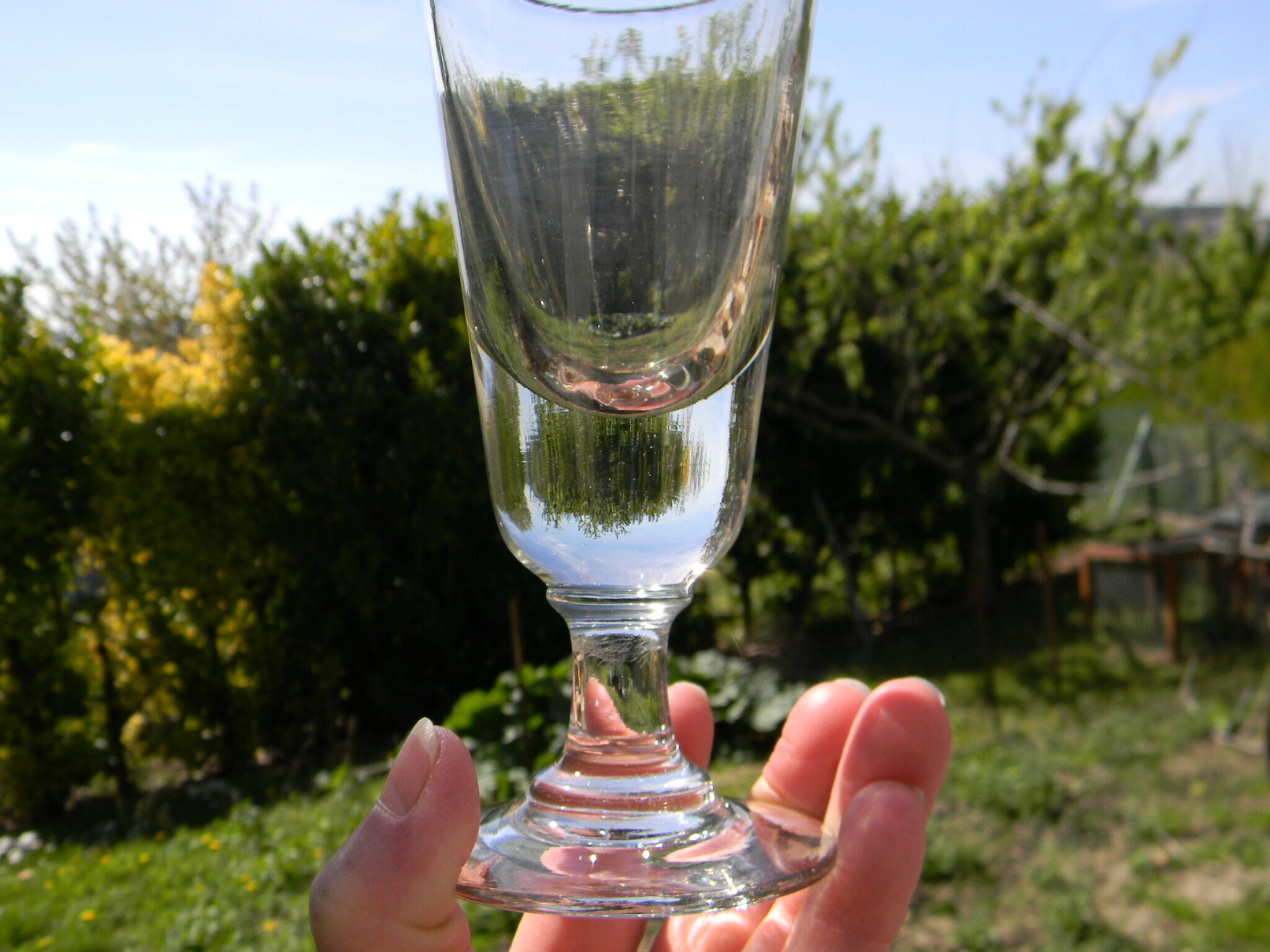 Set of 2 glass absinthe glasses