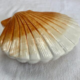 Terrine Caugant slurry scallops