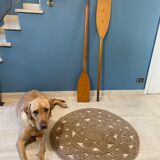 Paddle or vintage oars 1970