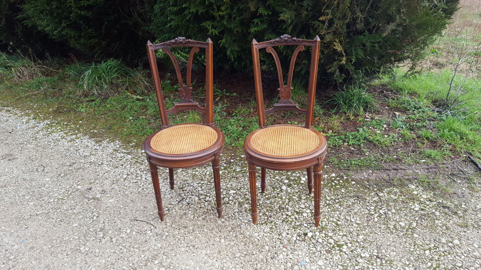 Pair of Louis XVI style walnut chairs