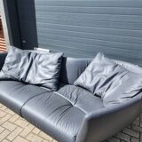 de Sede DS-102 sofa
