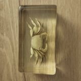 Crustacean in resin block
