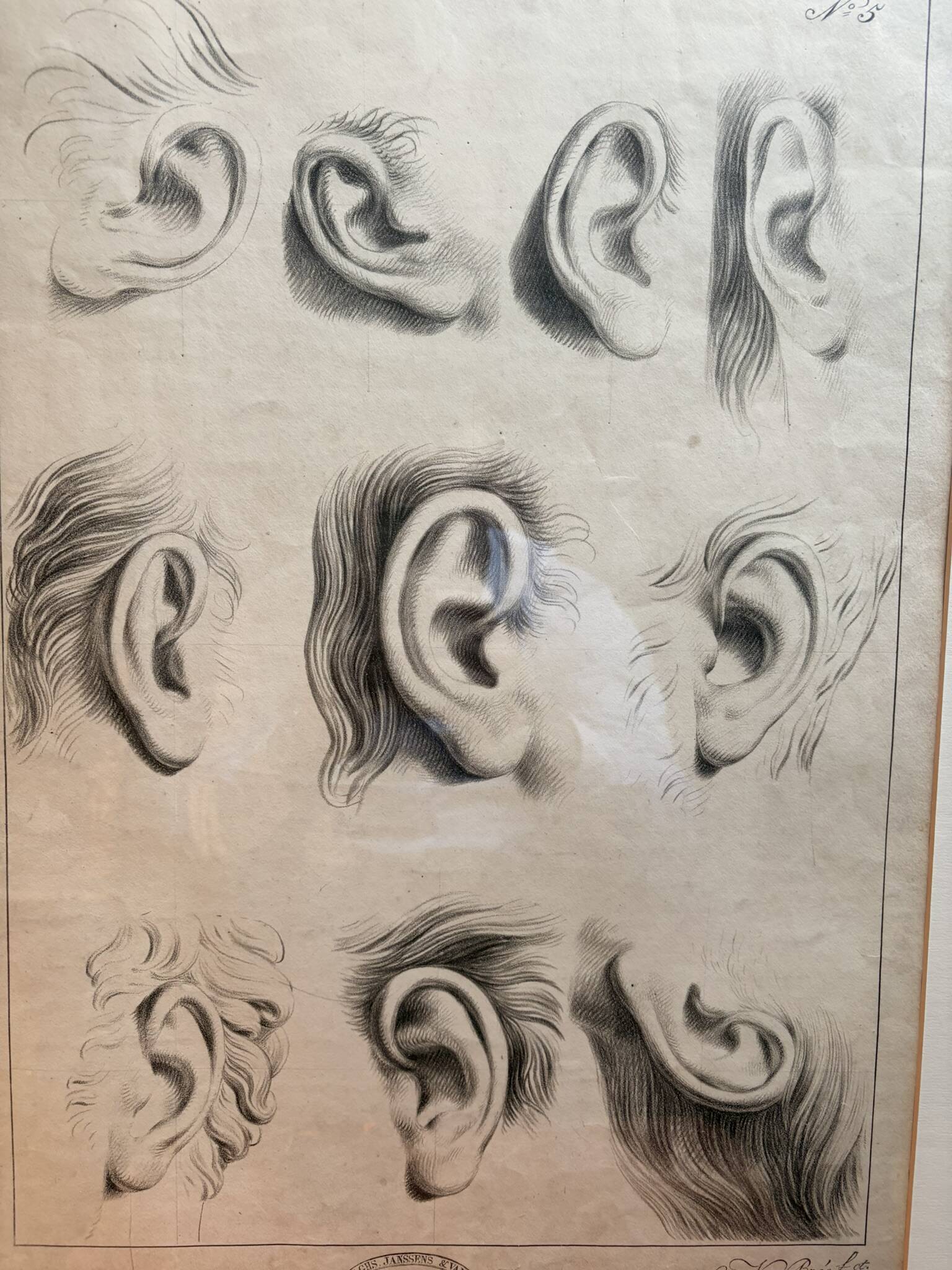 Old Print Engraving 19th Century Framed Academic Study Ear Van Bree