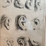 Old Print Engraving 19th Century Framed Academic Study Ear Van Bree