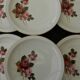 6 assiettes plates en faïence de SARREGUEMINES. Modèle Richemond.