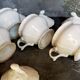 Set of seven covered pots and tray old white slurry nineteenth