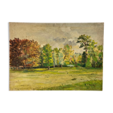 Oil on vintage panel