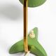 Pair of beautiful green Mid Century Modern Diabolo crow's foot table lamps