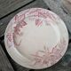 10 antique ironstone dinner plates