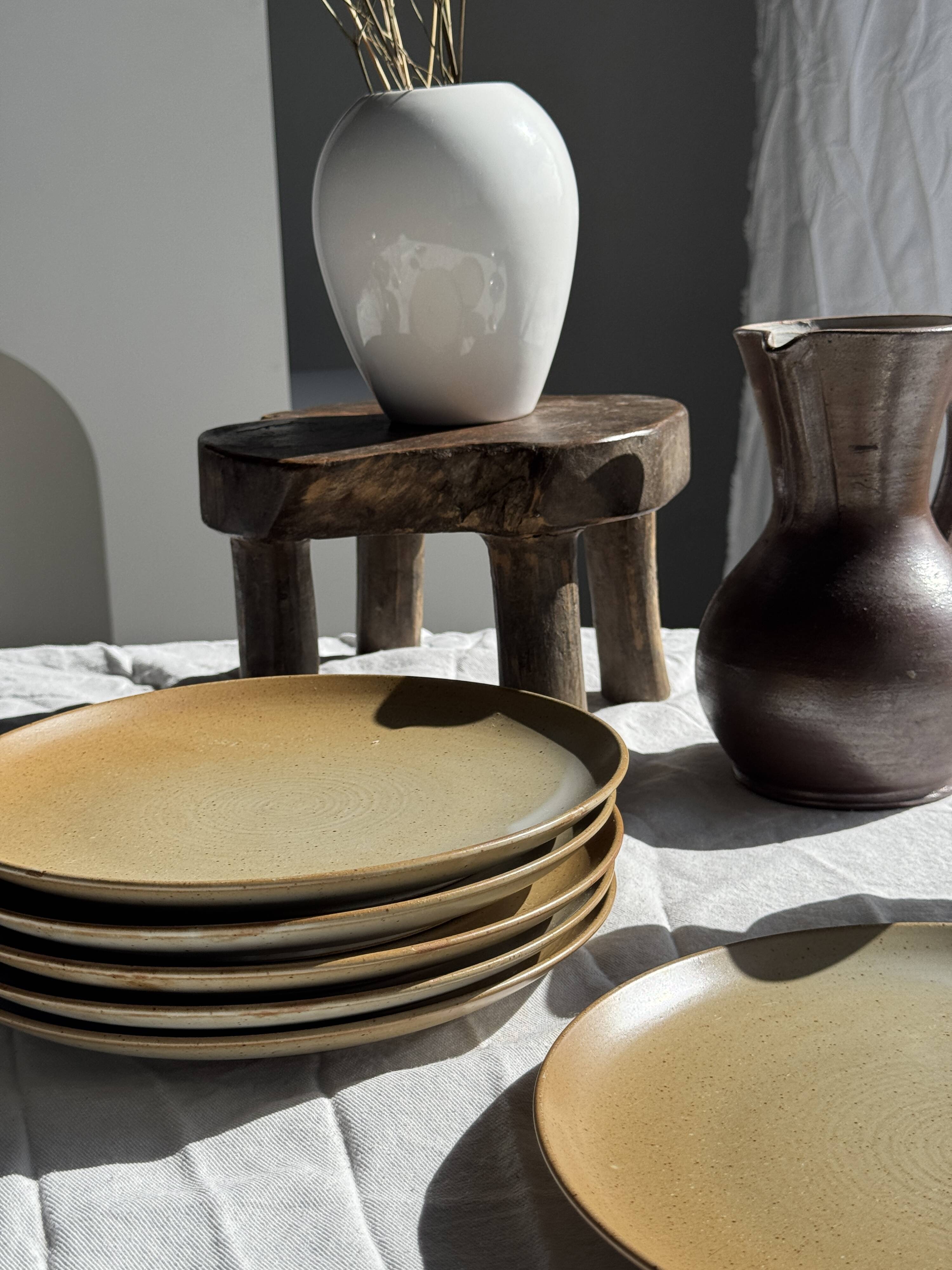 Set of 6 stoneware plates Village France D24