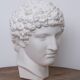 Greek head in waxed white plaster