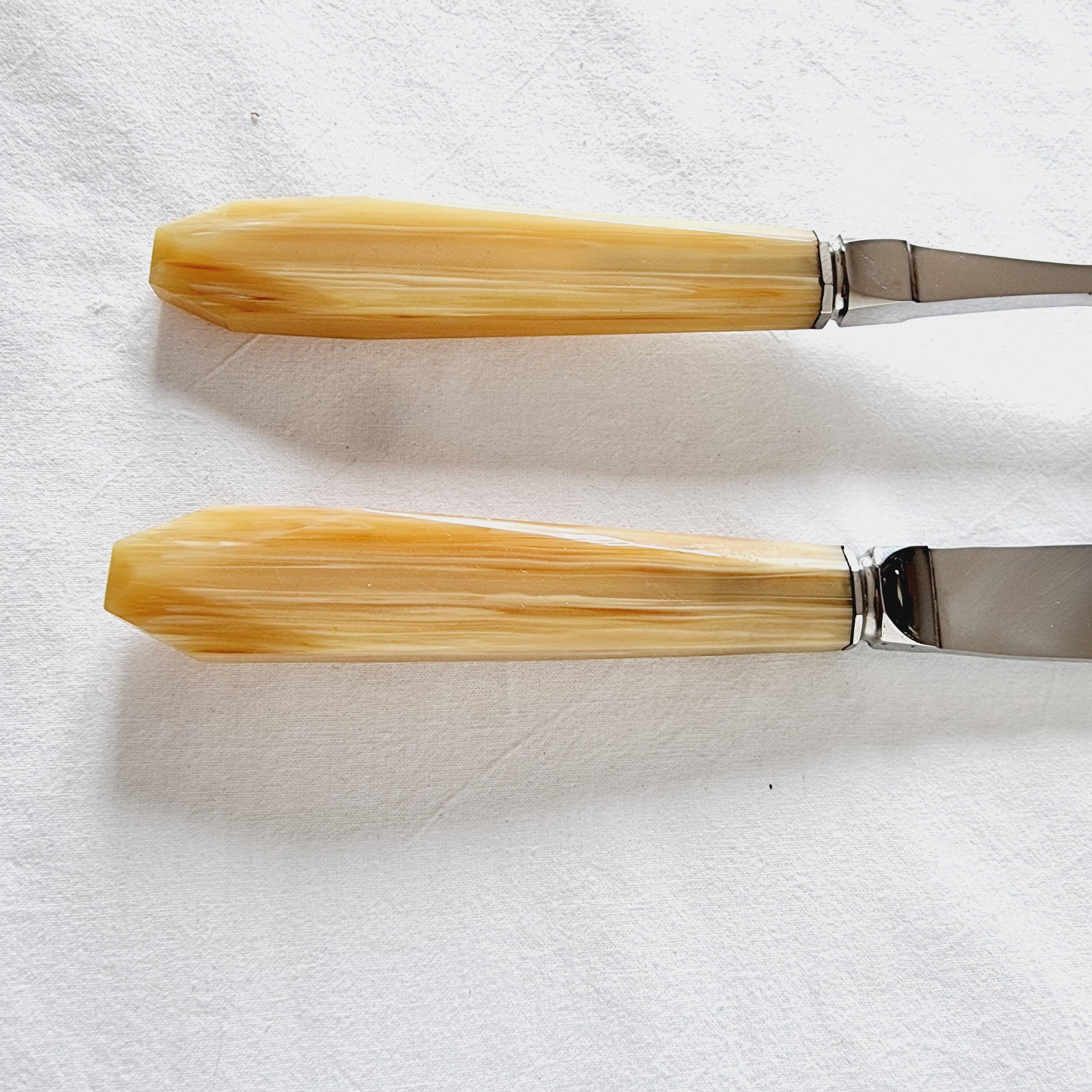 Case with cutlery for serving or cutting meat in baquelite