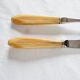 Case with cutlery for serving or cutting meat in baquelite