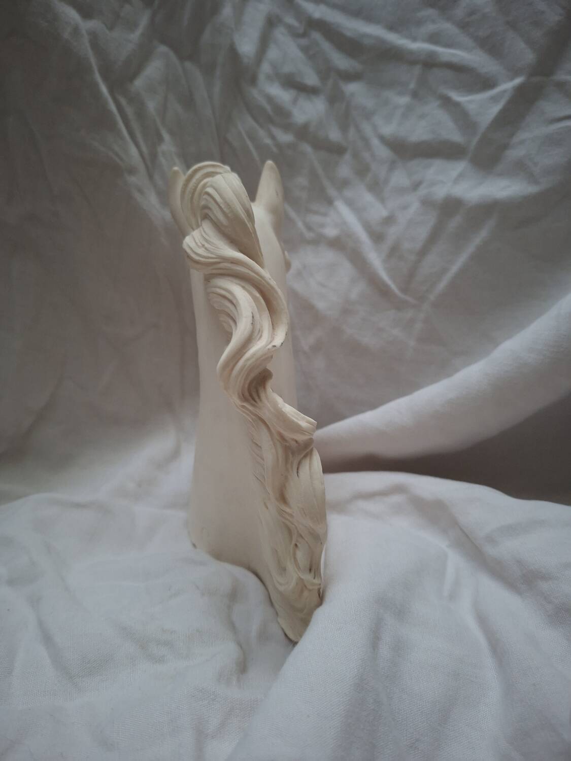 Horse head A. Giannelli