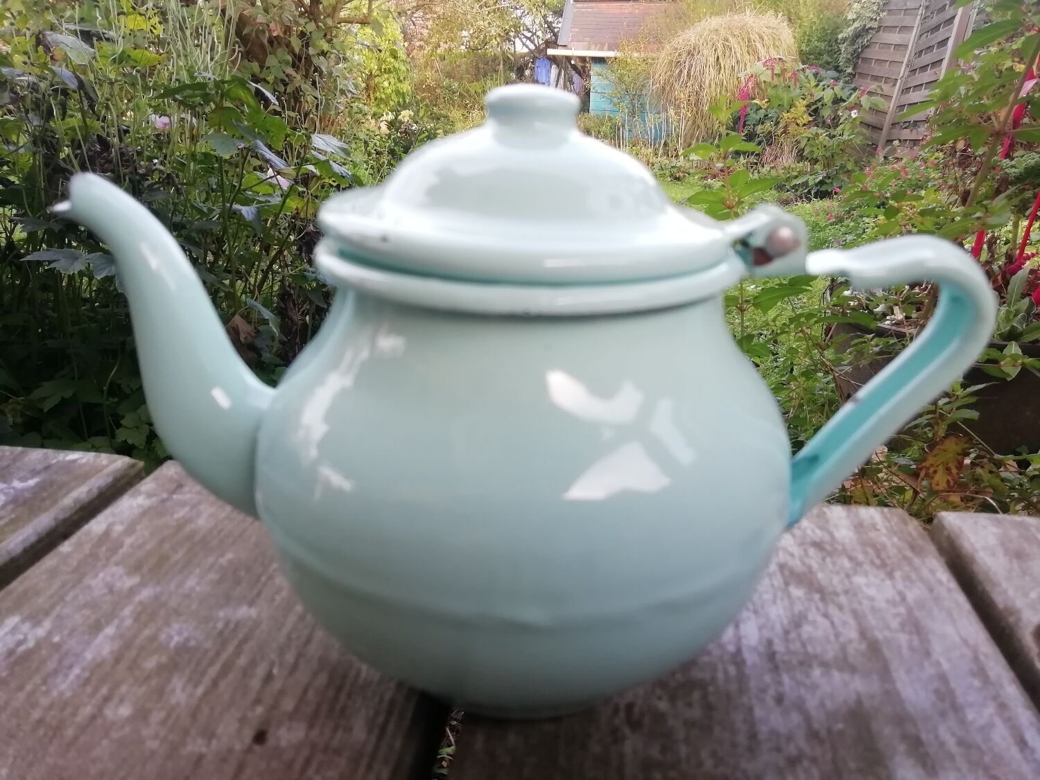Enamelled sheet metal teapot