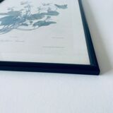 Ancient lithograph framed flower and butterfly