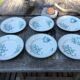Series 6 tablespoons Plate Iron Earth
