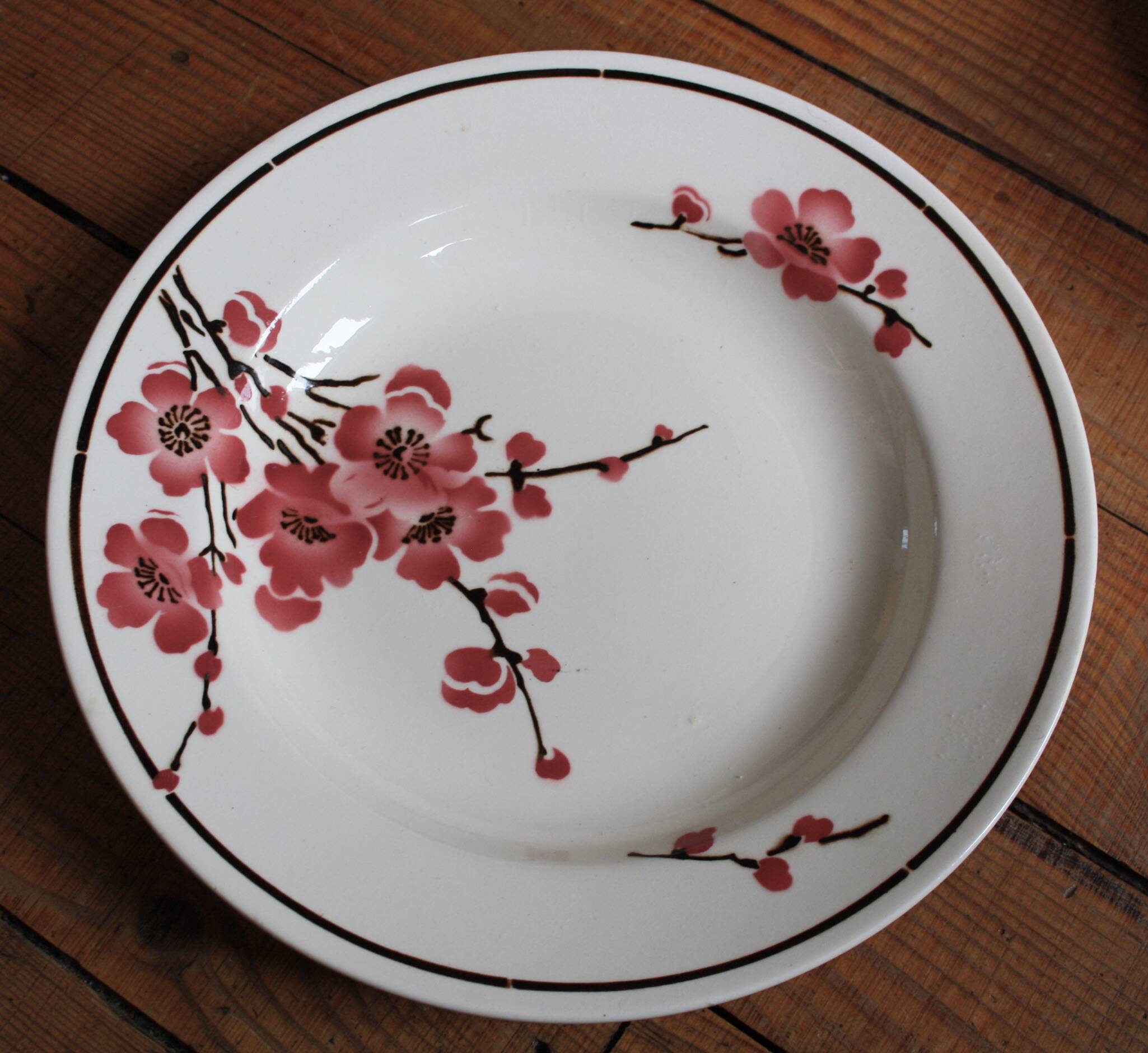 Set of 6 Terre de Fer St Amand "cherry" deep plates