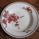 Set of 6 Terre de Fer St Amand "cherry" deep plates