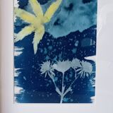 Cyanotype original avec cadre profond noir
