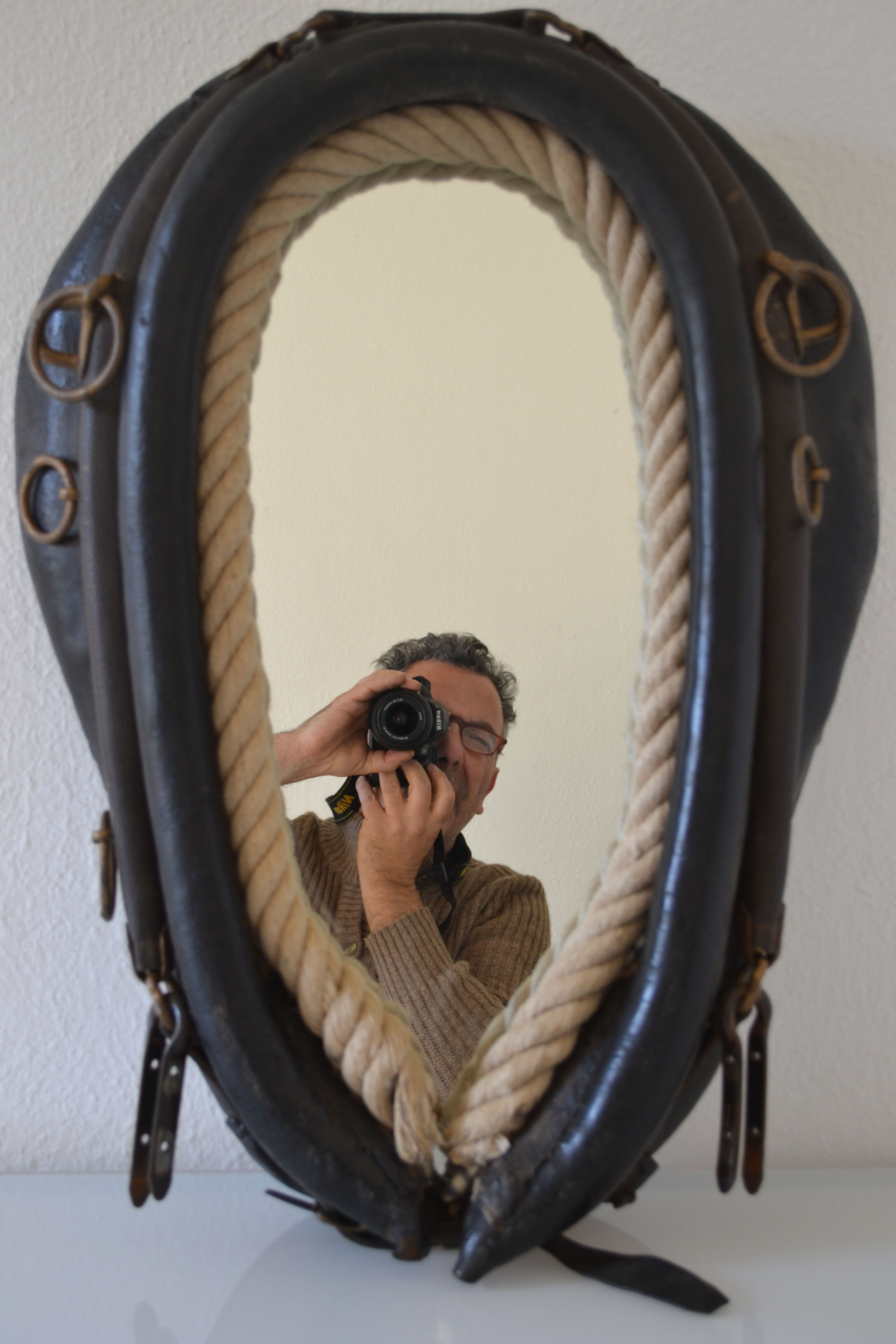 Brutalist mirror horse collar