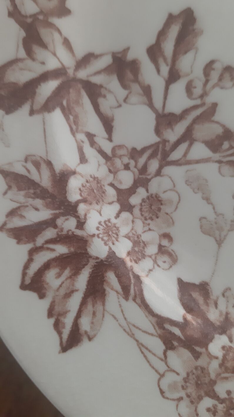 Assiette terre de fer Jules Vieillard