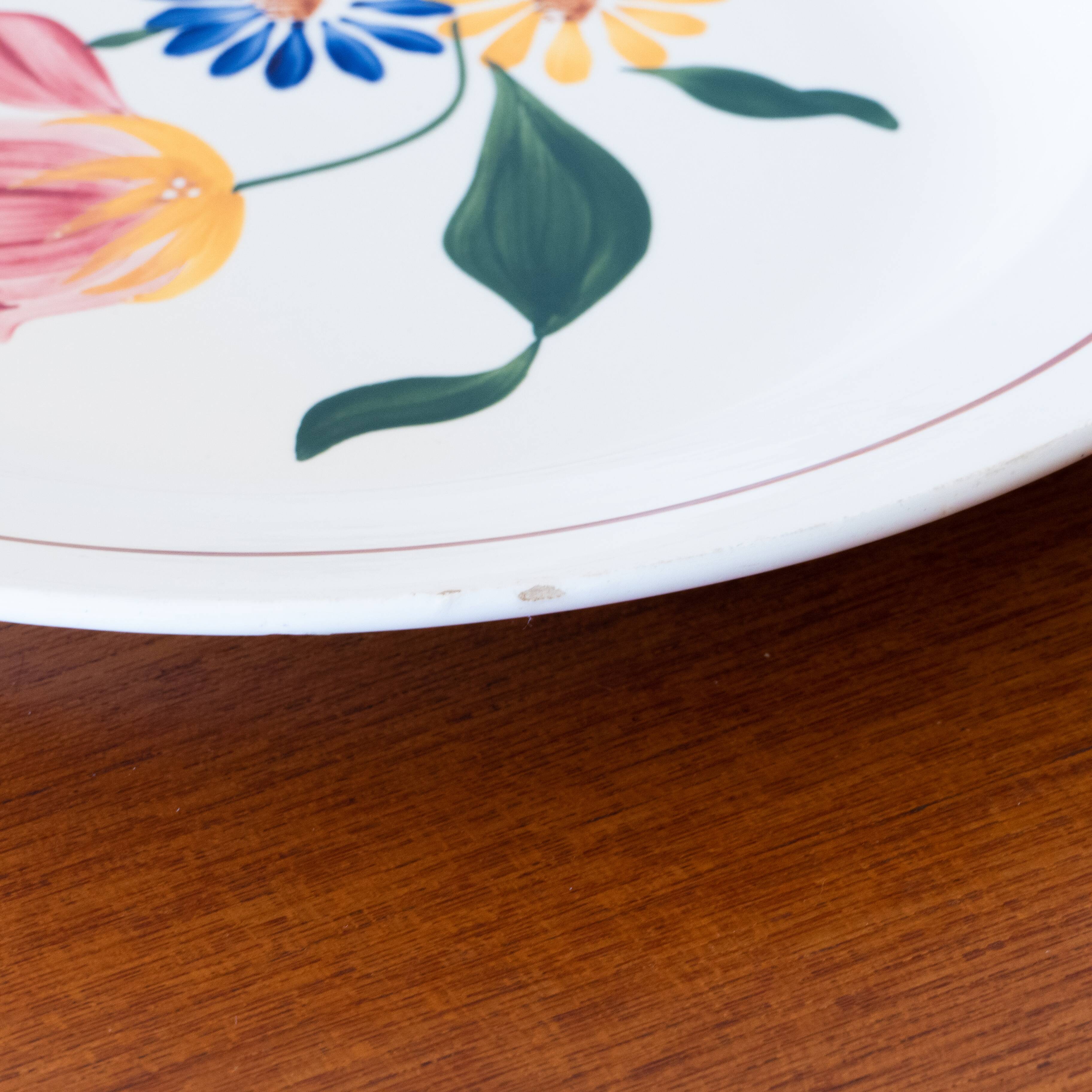 Antique Villeroy & Boch hand-painted dish