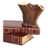 Vase en corne de cerf