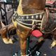 Carousel horse / decorative wooden horse, carved and varnished.