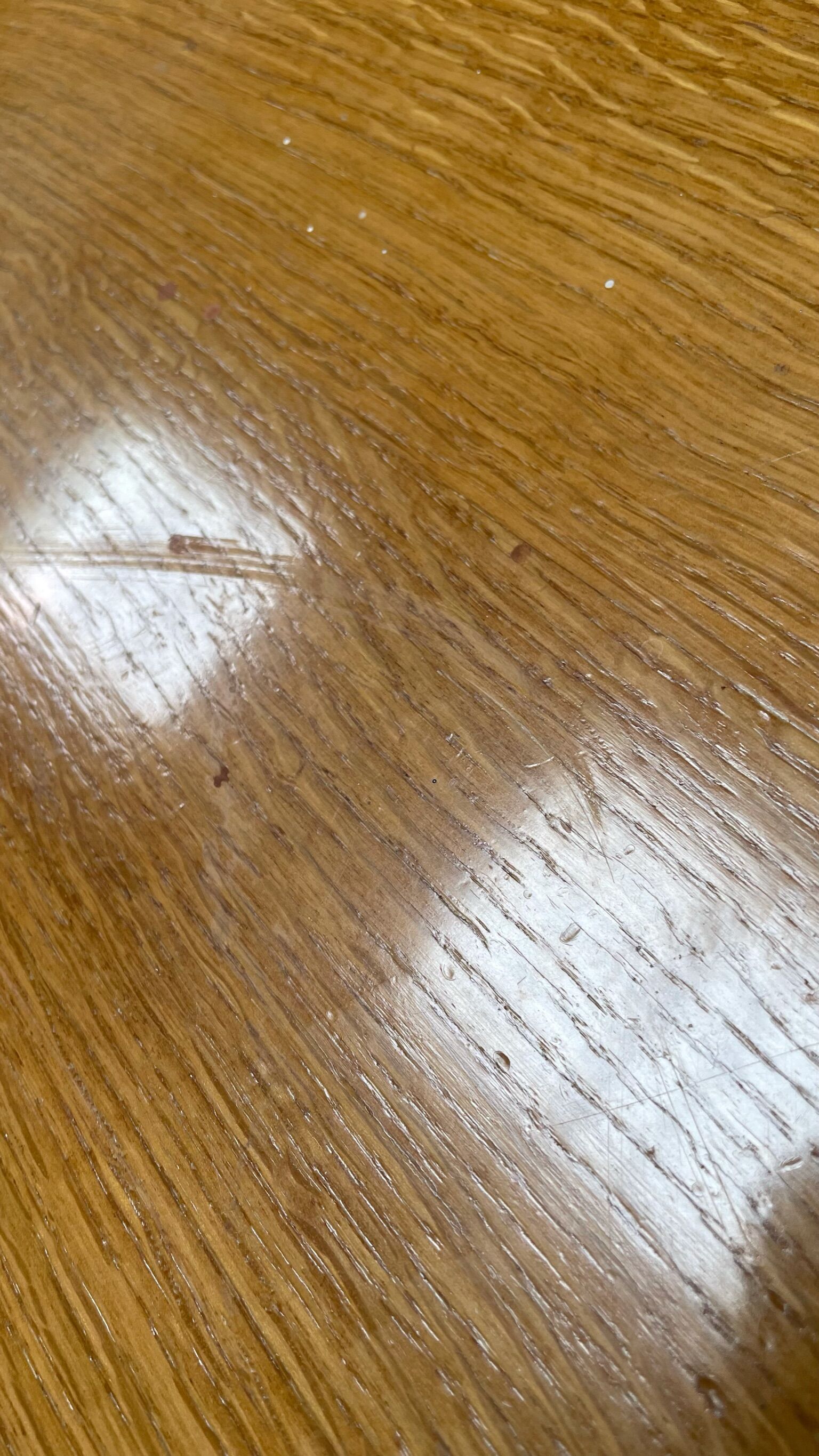 Dining table compass legs