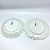 Raynaud's Plates - Co.