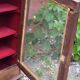 Wall cabinet