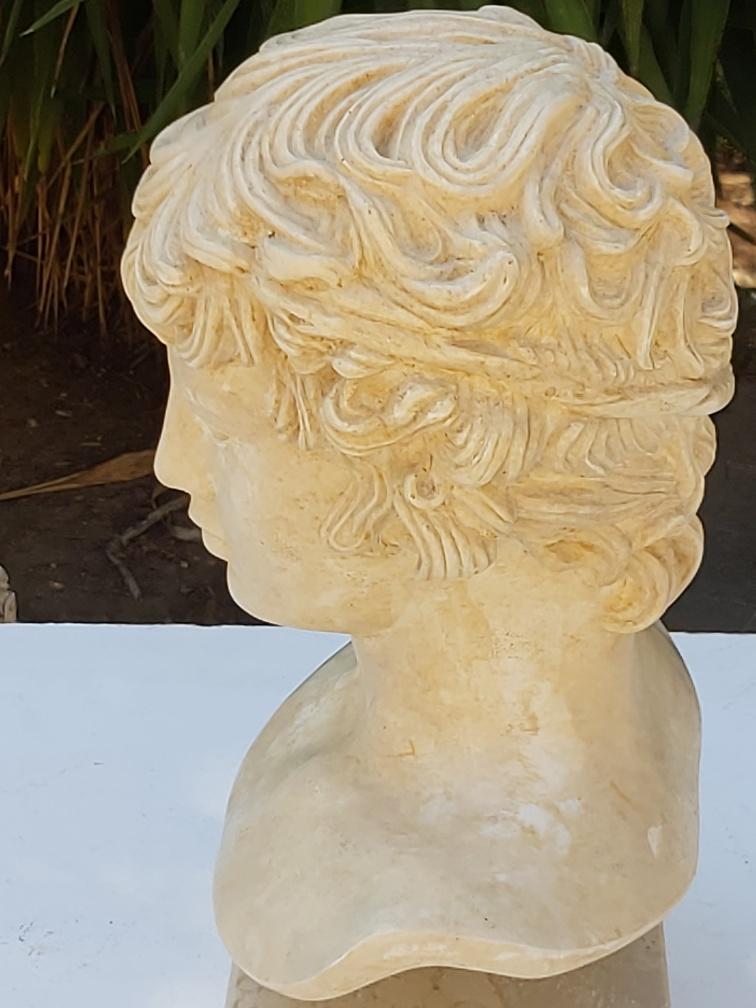 Plaster and marble bust