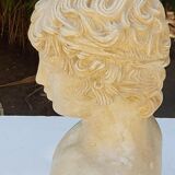 Plaster and marble bust