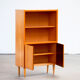Scandinavian bookcase 1960