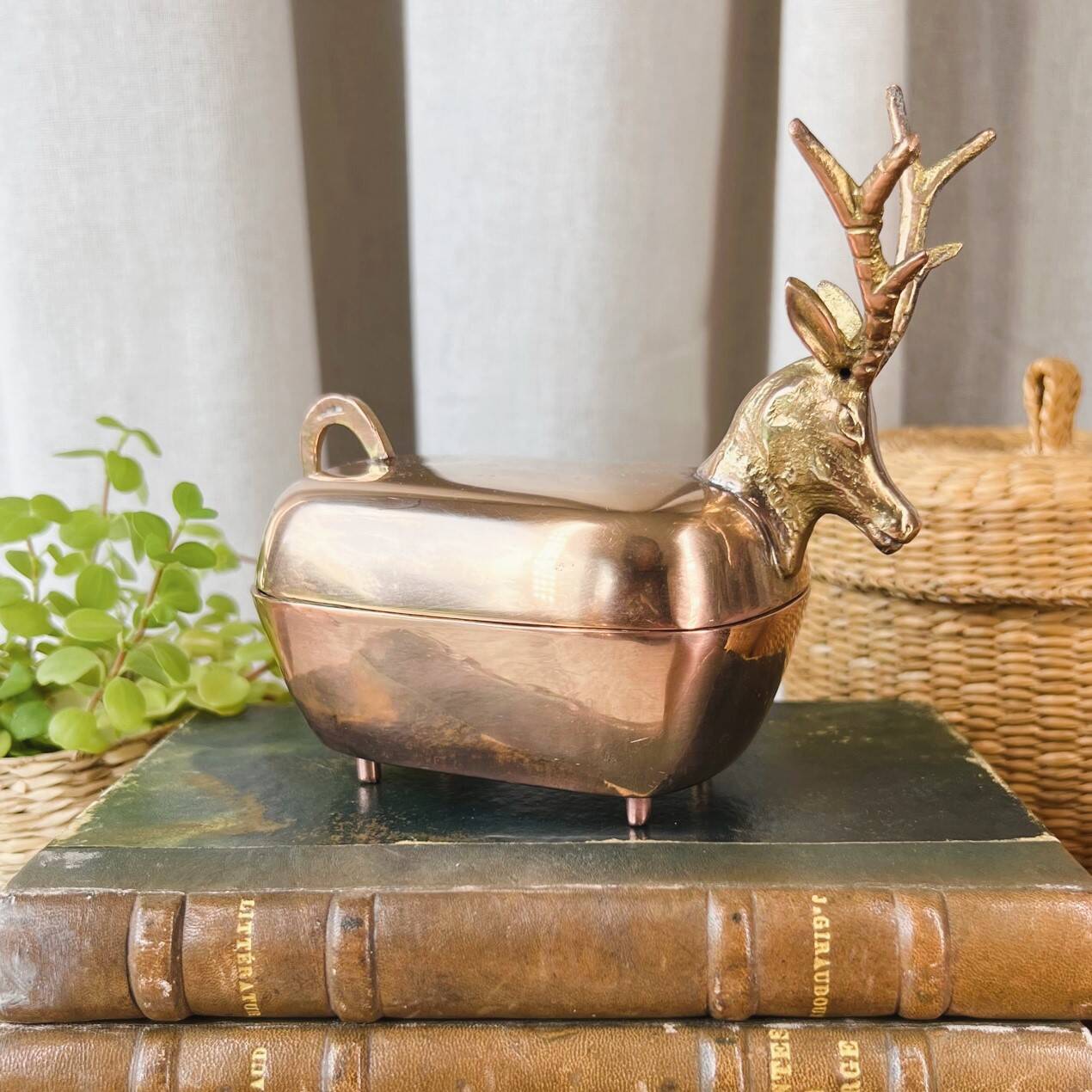 “Deer” brass box